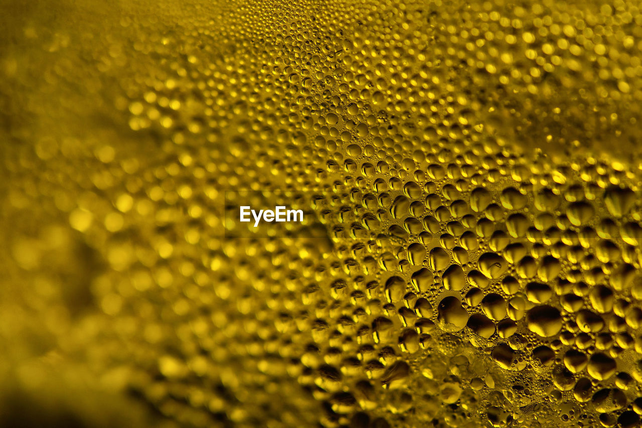 FULL FRAME SHOT OF WATER DROPS ON YELLOW