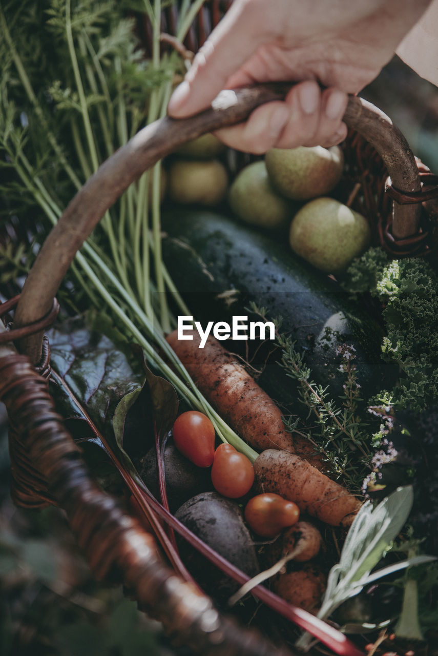 Hand holding basket with vegetables