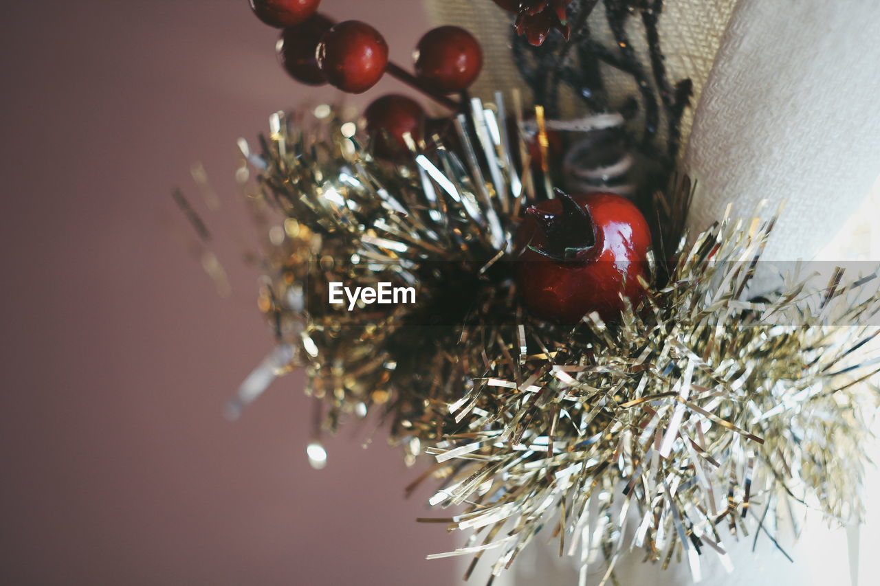 CLOSE-UP OF CHRISTMAS TREE IN PLATE