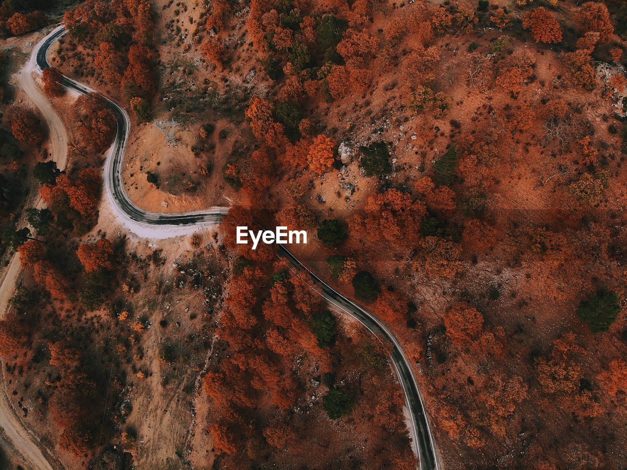 High angle view of car on road