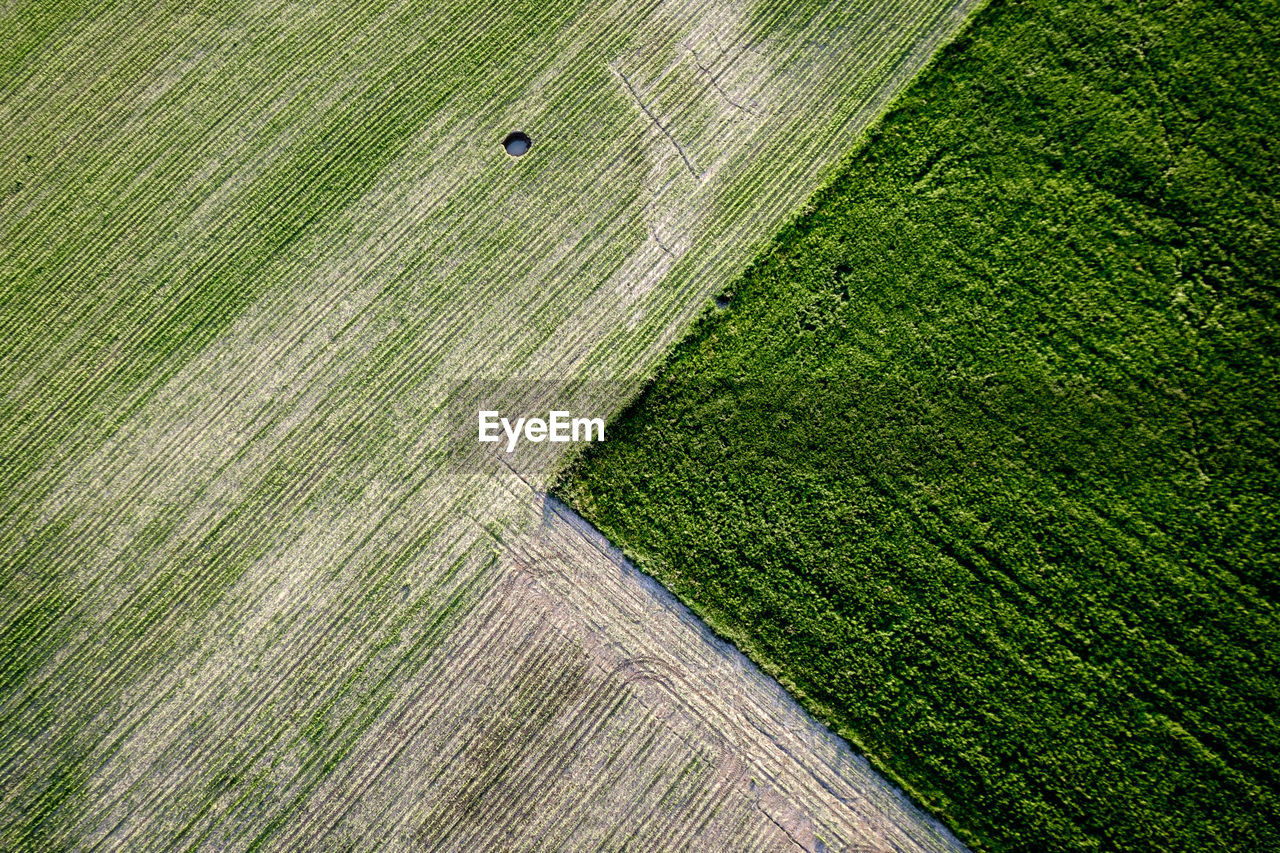 Full frame shot of green field