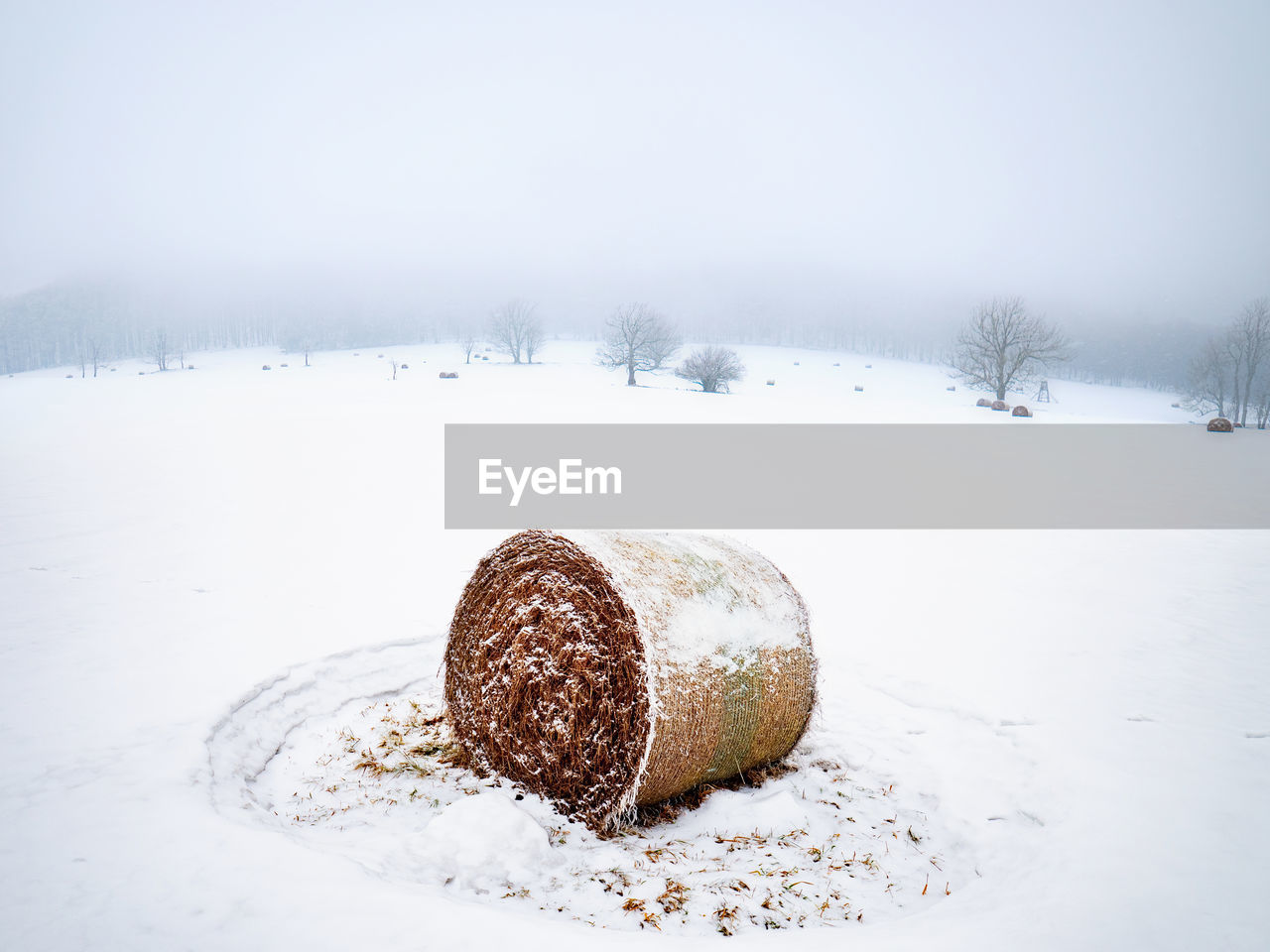 Lost hay bale in snow. frosty and snowy winter in countryside, misty snowfalling day