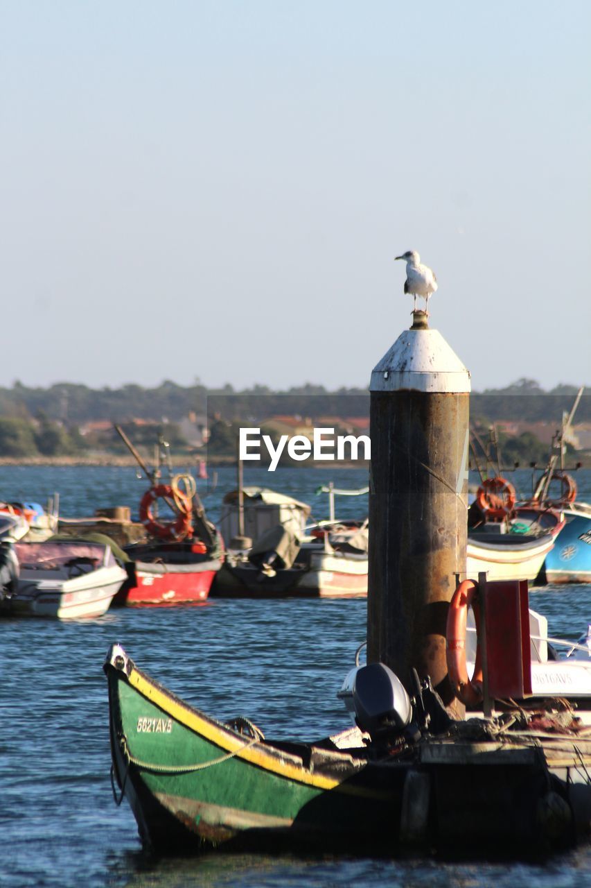 FISHING BOATS IN HARBOR