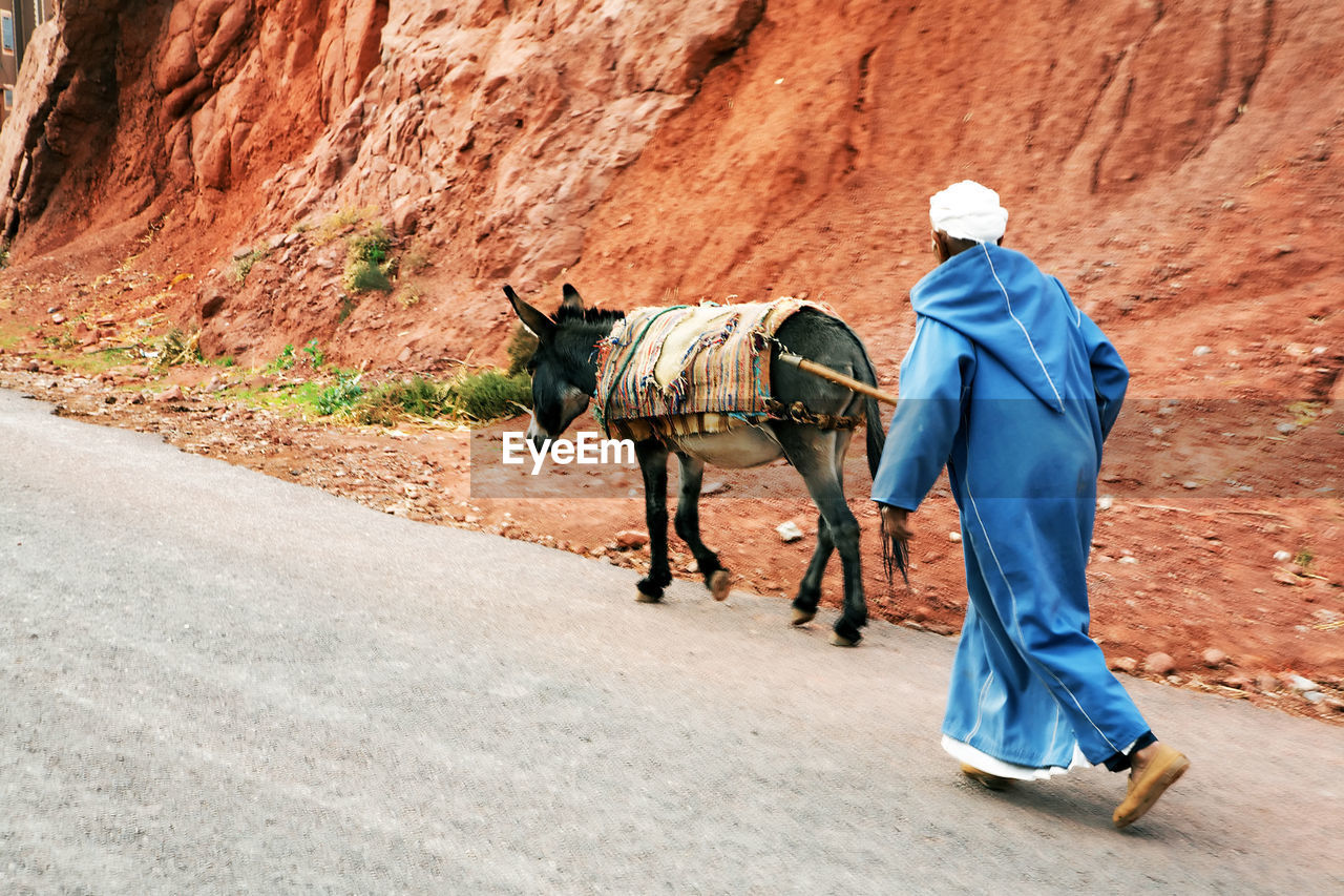Rear view of man walking by donkey on road