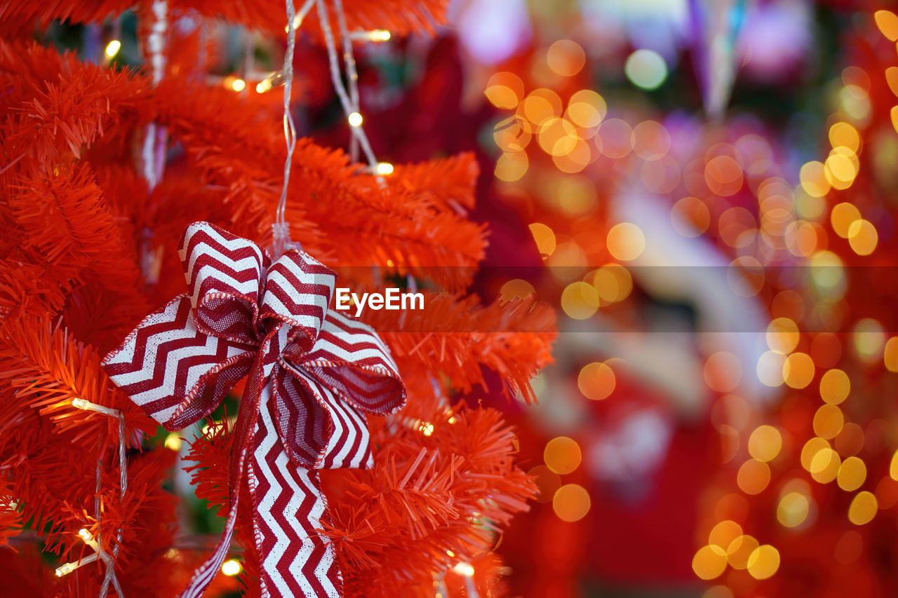 close-up of christmas tree at night