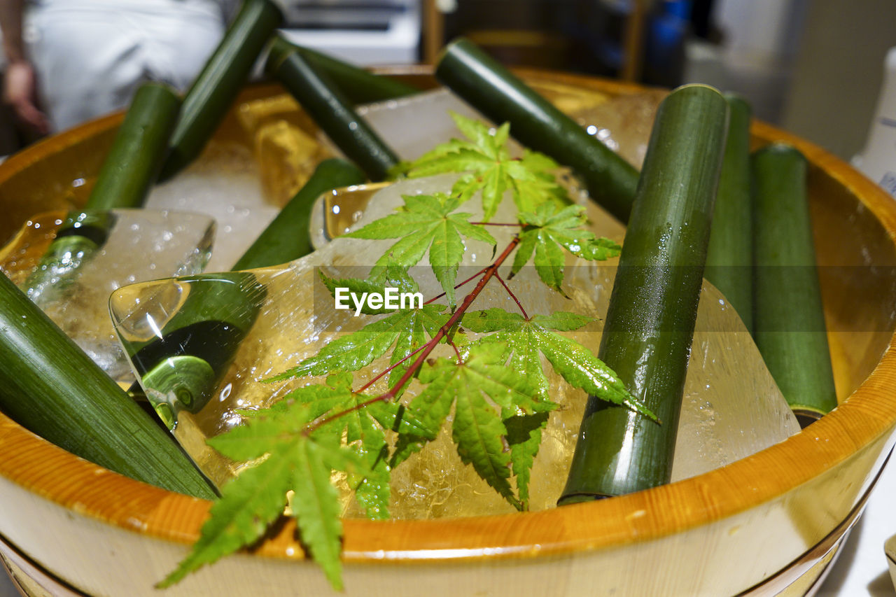 HIGH ANGLE VIEW OF LEAVES IN BOWL
