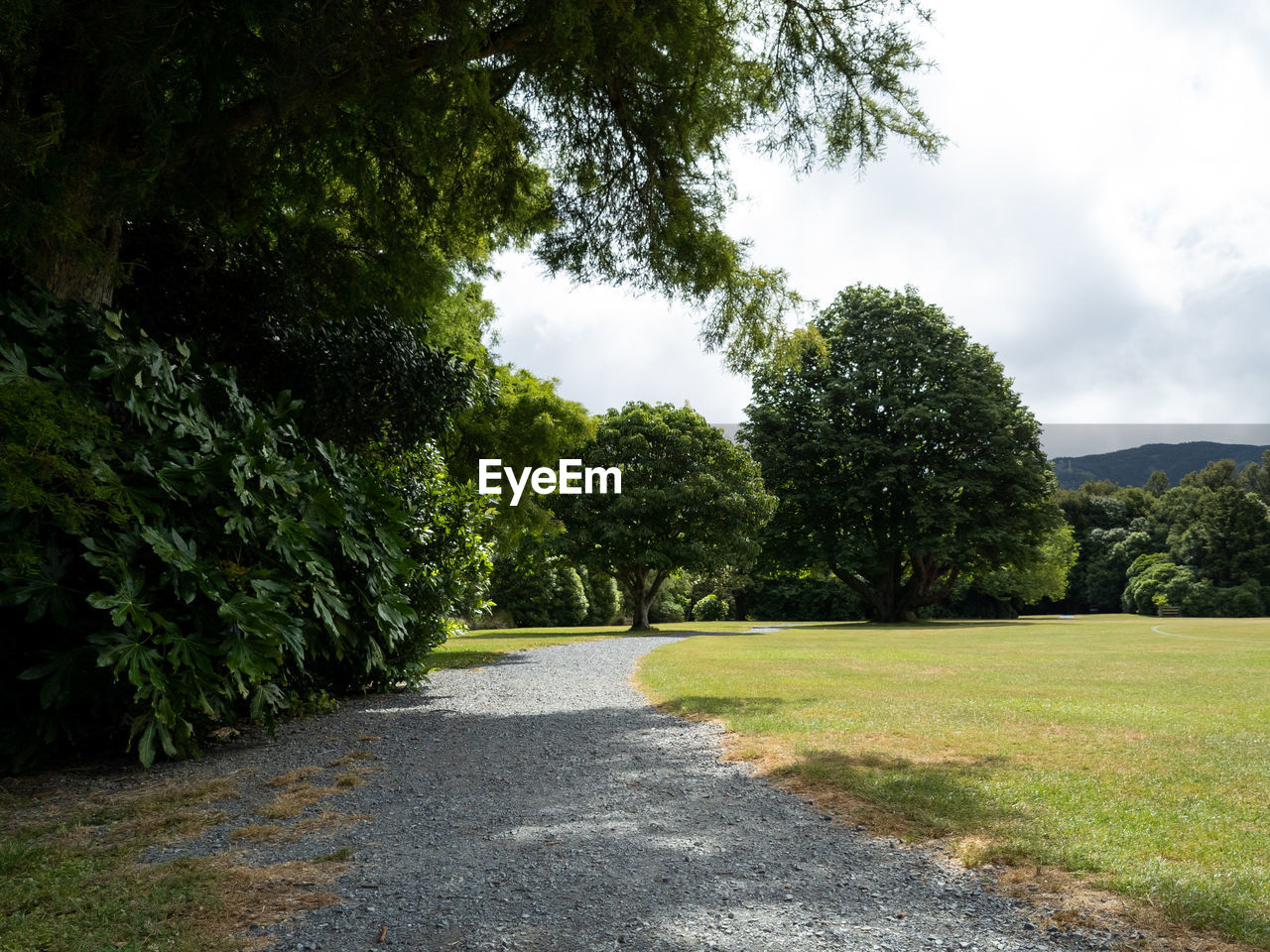 plant, tree, grass, nature, green, sky, road, no people, beauty in nature, cloud, rural area, landscape, lawn, tranquility, growth, environment, the way forward, day, scenics - nature, outdoors, footpath, tranquil scene, transportation, park, non-urban scene, land, garden, hill, leaf, meadow, woodland