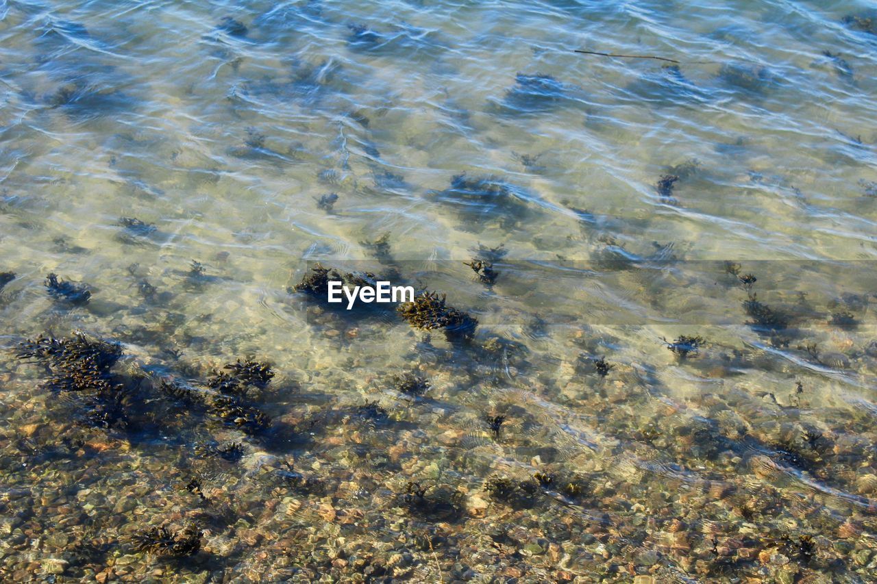 FULL FRAME SHOT OF WATER SURFACE