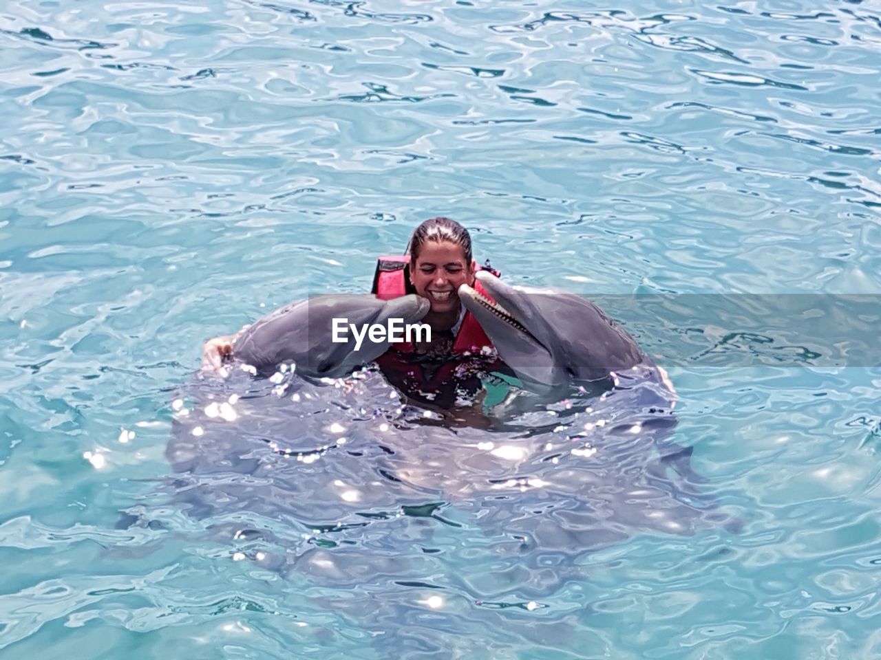 High angle view of woman with dolphins swimming in pool