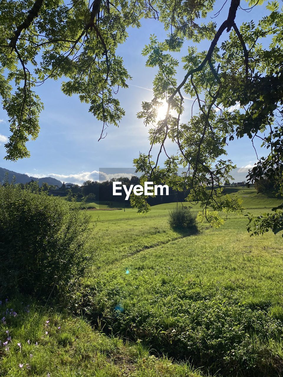 SCENIC VIEW OF LAND AGAINST SKY