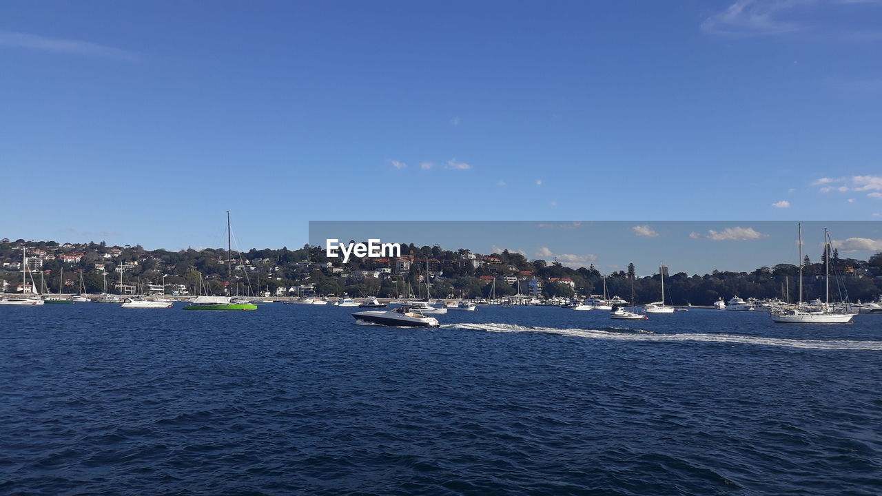 Sailboats in sea by buildings against blue sky