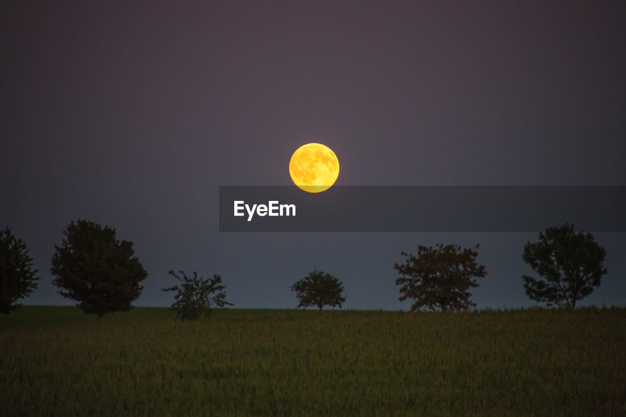 Scenic view of field against sky at night