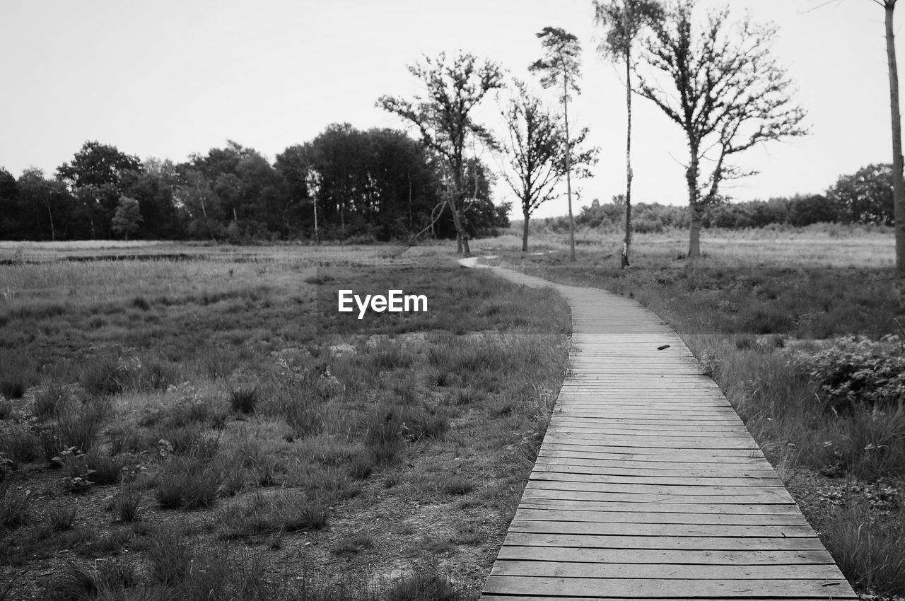 Empty footpath amidst field against sky