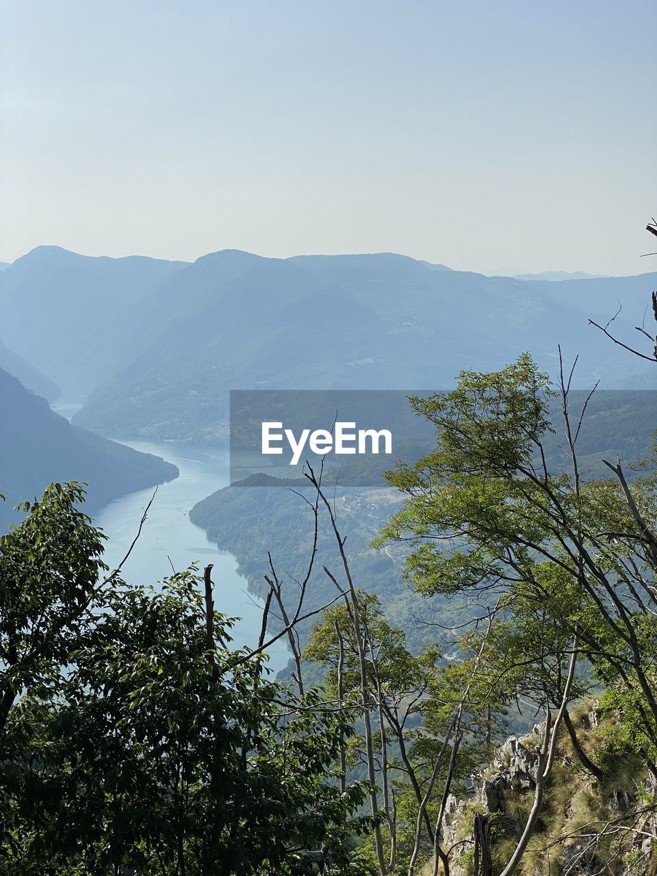 SCENIC VIEW OF TREES AND MOUNTAINS AGAINST CLEAR SKY