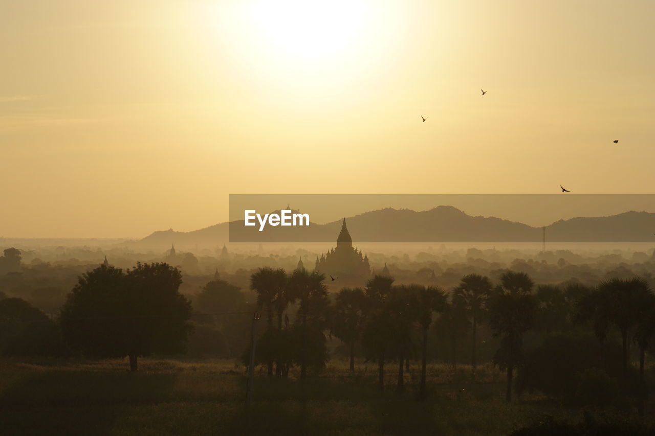 SCENIC VIEW OF SUNSET OVER FIELD