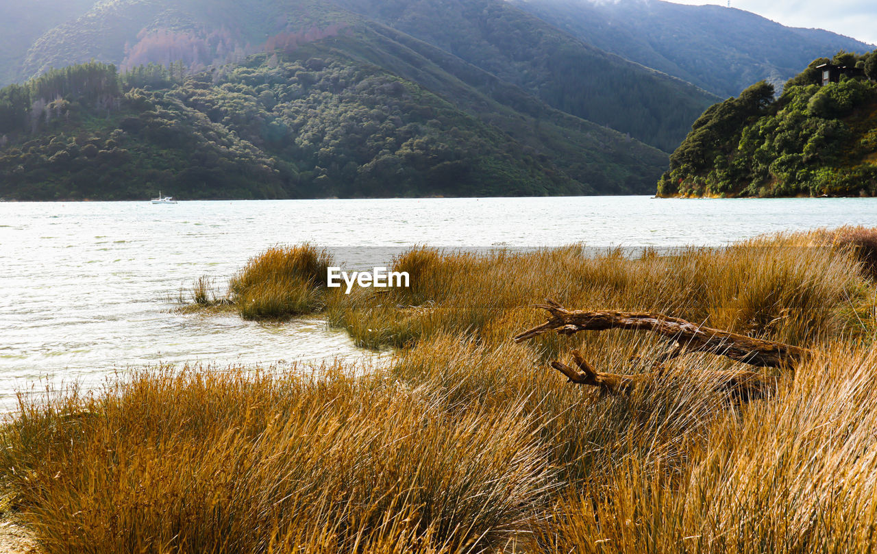 SCENIC VIEW OF LAKE AGAINST MOUNTAIN