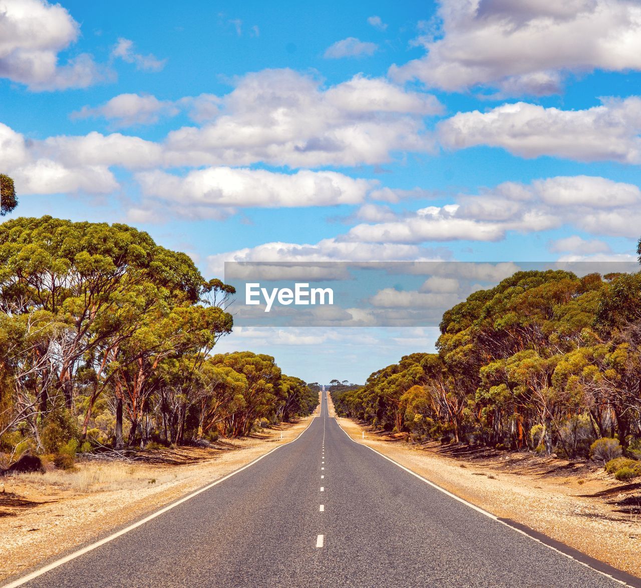 EMPTY ROAD AMIDST TREES AND SKY