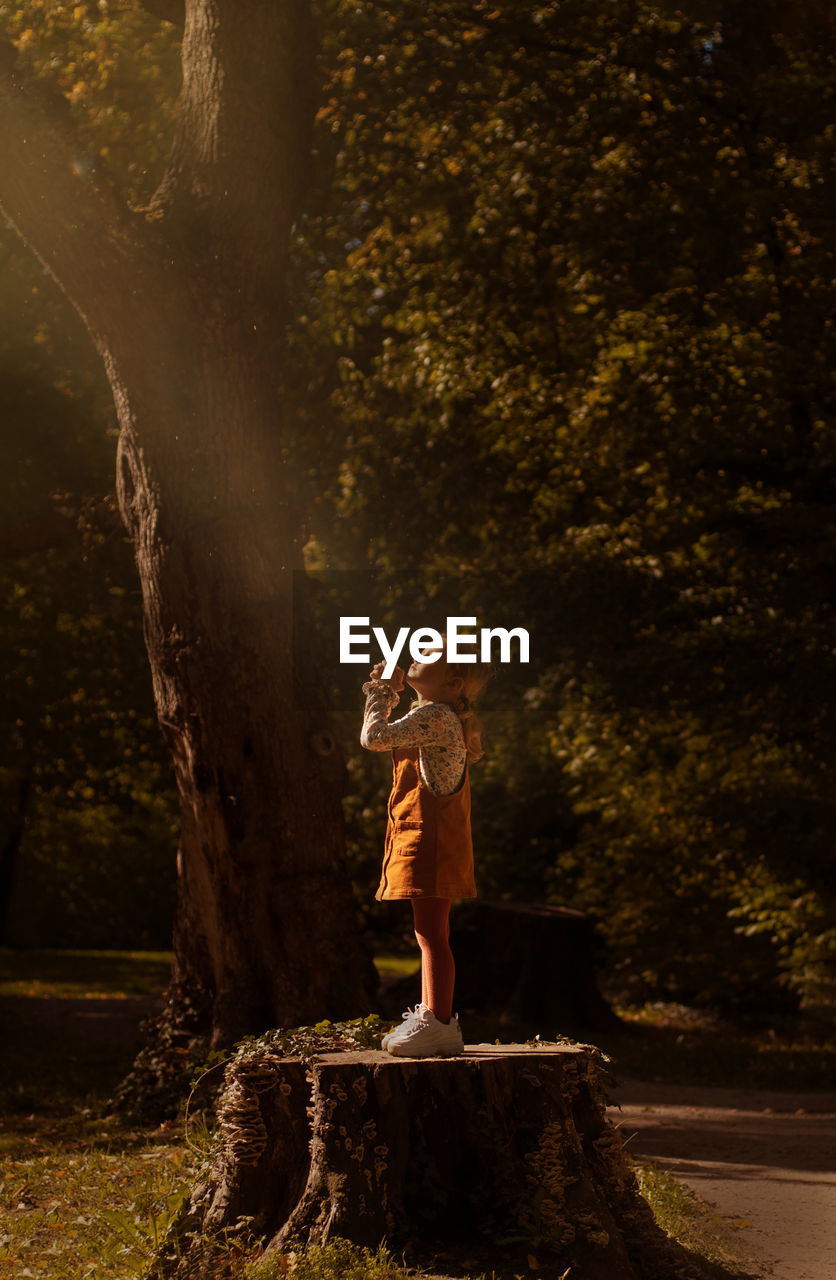 rear view of woman standing against trees