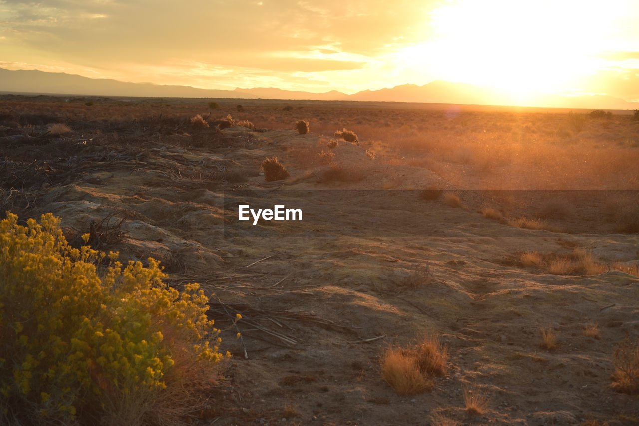 SCENIC VIEW OF LANDSCAPE AGAINST SUNSET SKY