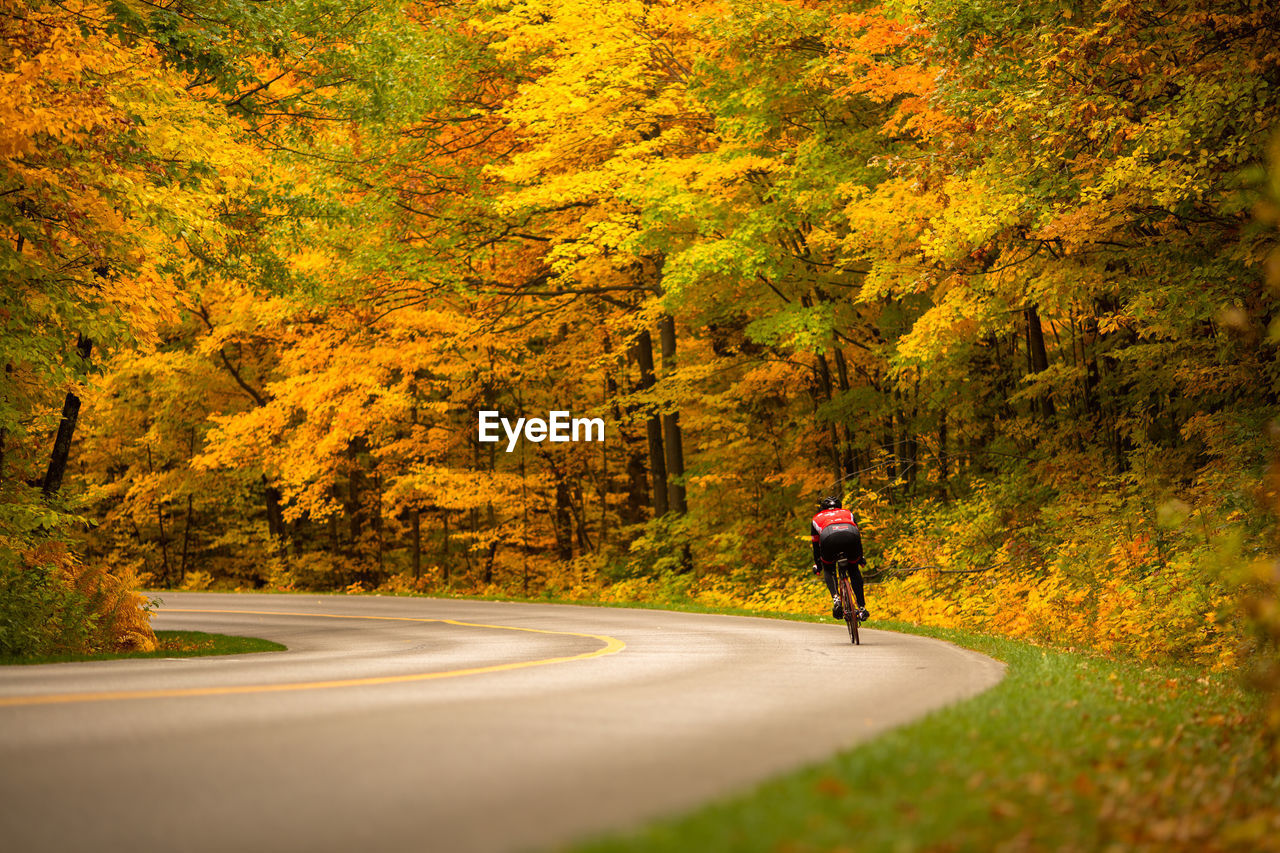 Rear view of man riding bicycle on road during autumn