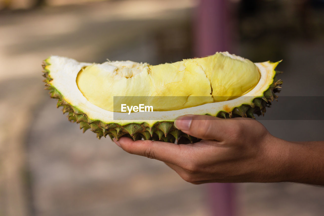 Cropped hand of person holding durian fruit