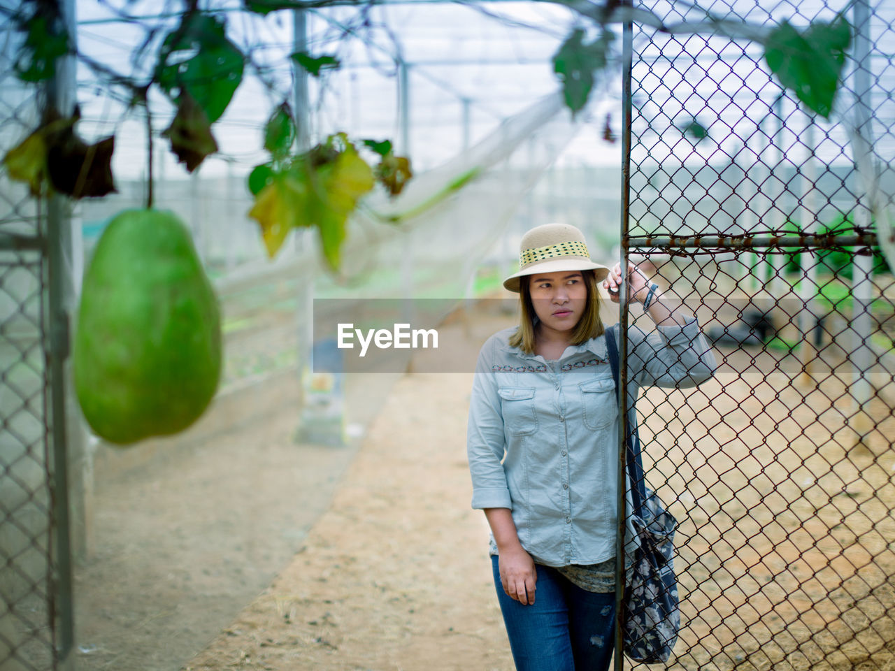 Young woman looking away while standing by fence at farm