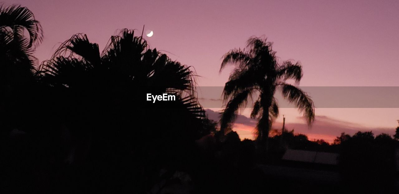 SILHOUETTE PALM TREES AGAINST SKY DURING SUNSET