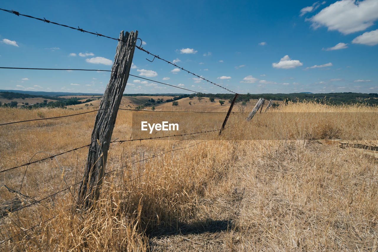 Old farm fence with barbed wire