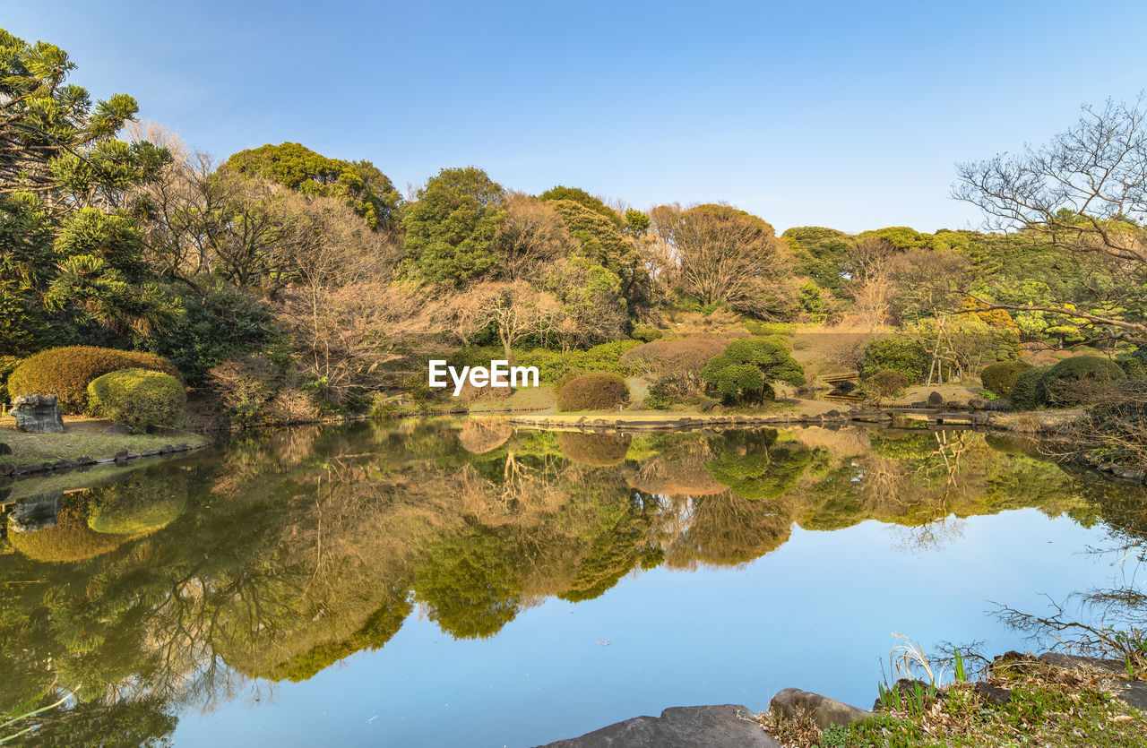 The pond of the japanese garden of the koishikawa botanical gardens