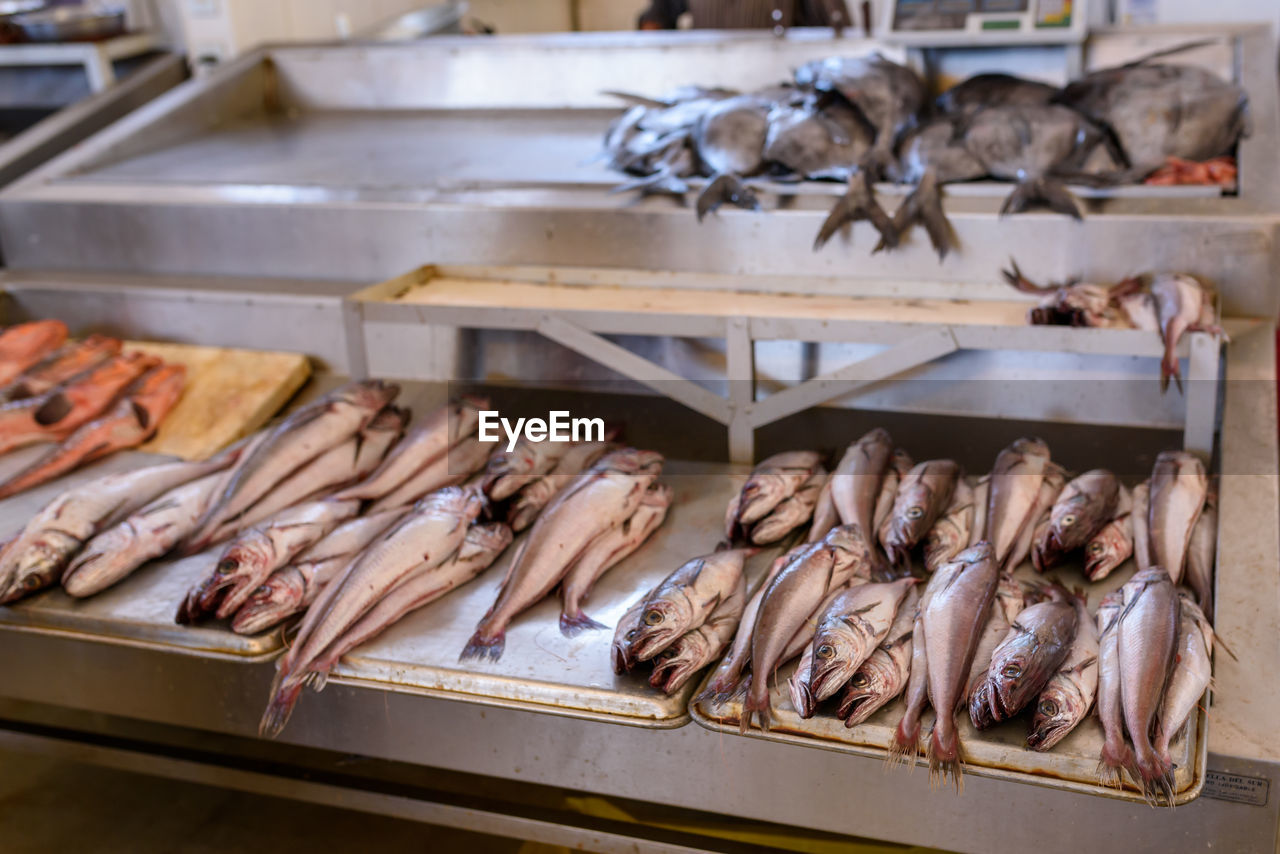 HIGH ANGLE VIEW OF FISH IN MARKET