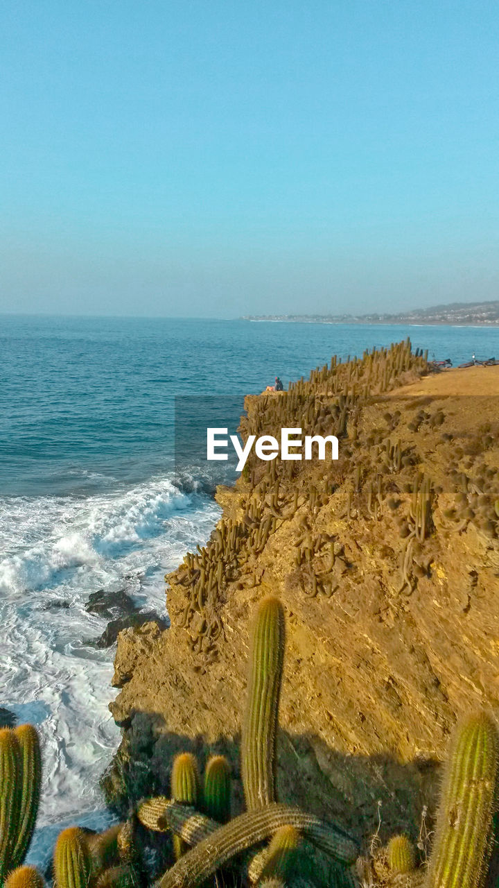 SCENIC VIEW OF BEACH AGAINST CLEAR BLUE SKY