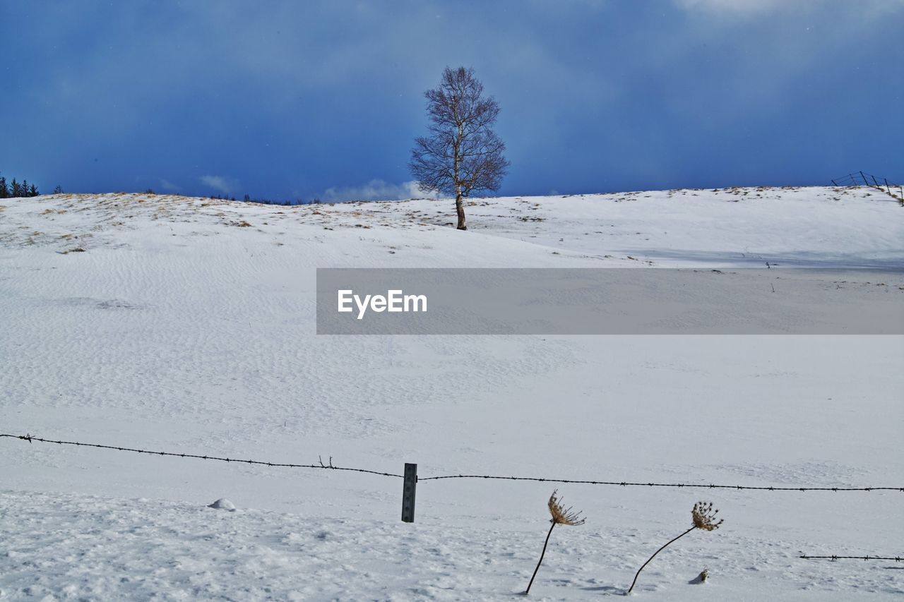 VIEW OF SNOW COVERED FIELD AGAINST SKY