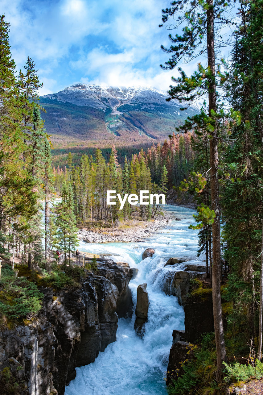 SCENIC VIEW OF WATERFALL