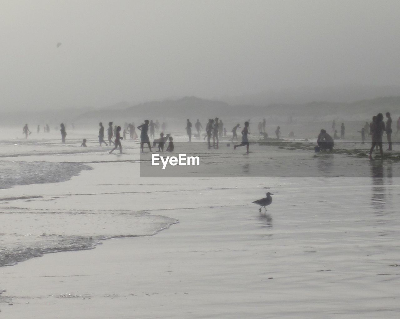 People at beach during foggy weather