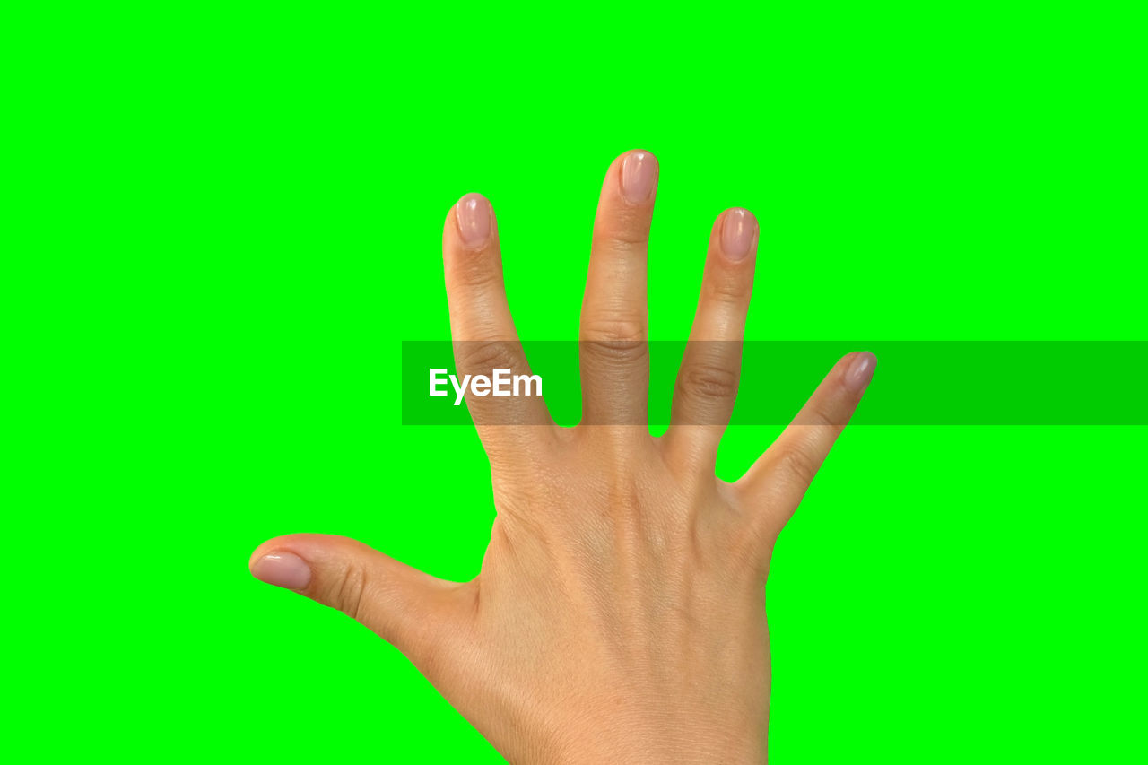 hand, green, finger, studio shot, colored background, one person, close-up, indoors, arm, cut out, adult, gesturing, sign language, green background, communication, palm, copy space