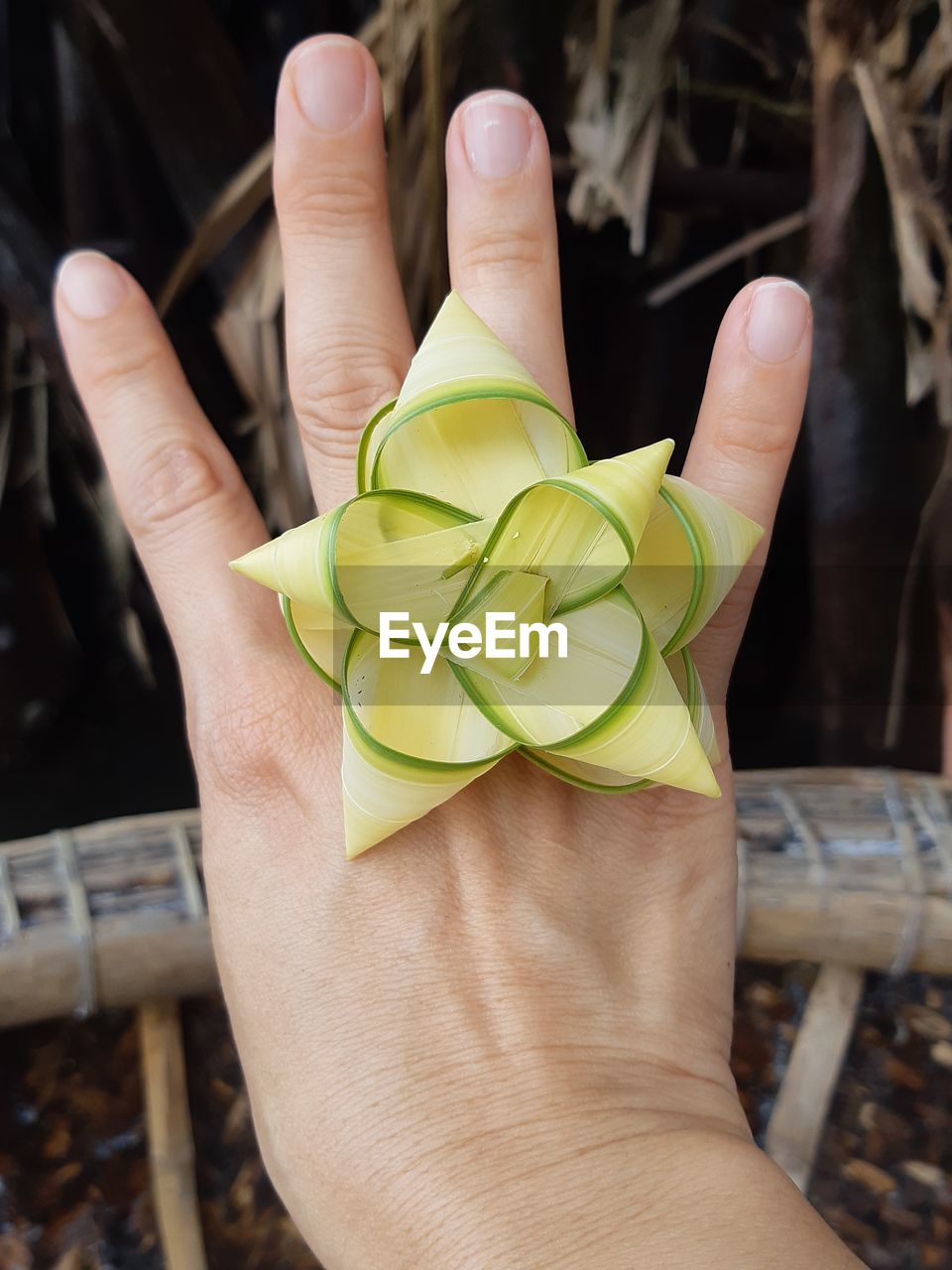 CLOSE-UP OF PERSON HAND HOLDING YELLOW LEAF