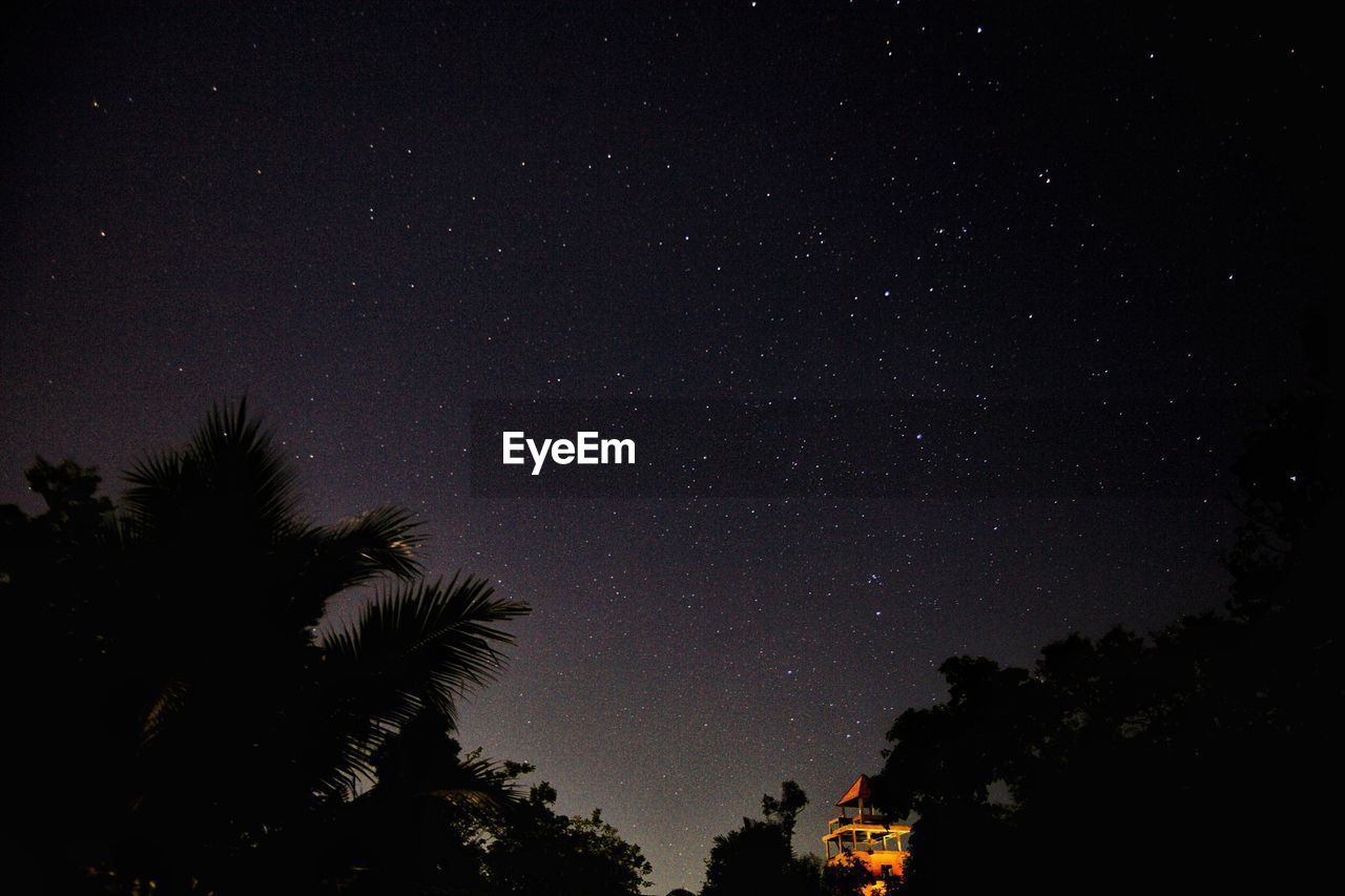 Low angle view of silhouette trees against sky at night