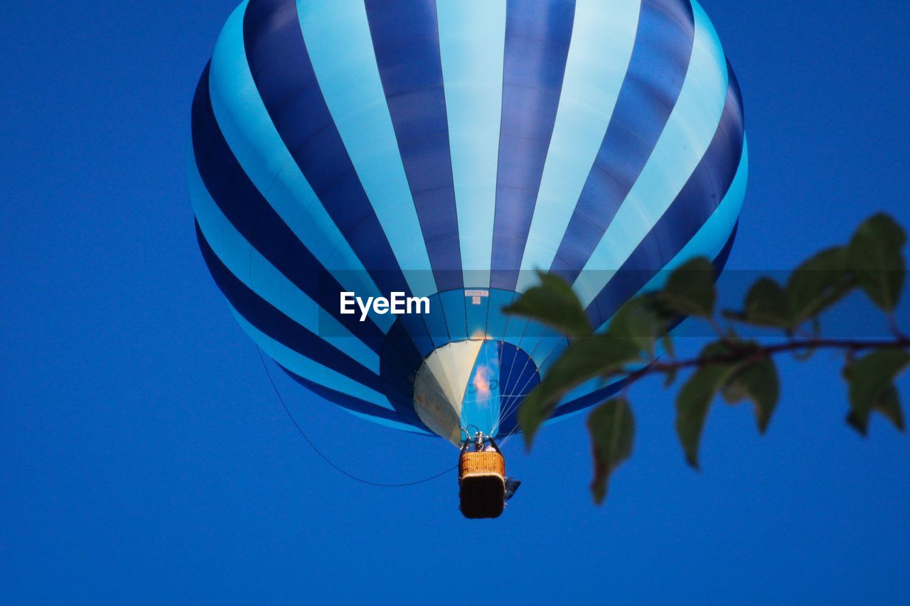 Low angle view of hot air balloon against blue sky