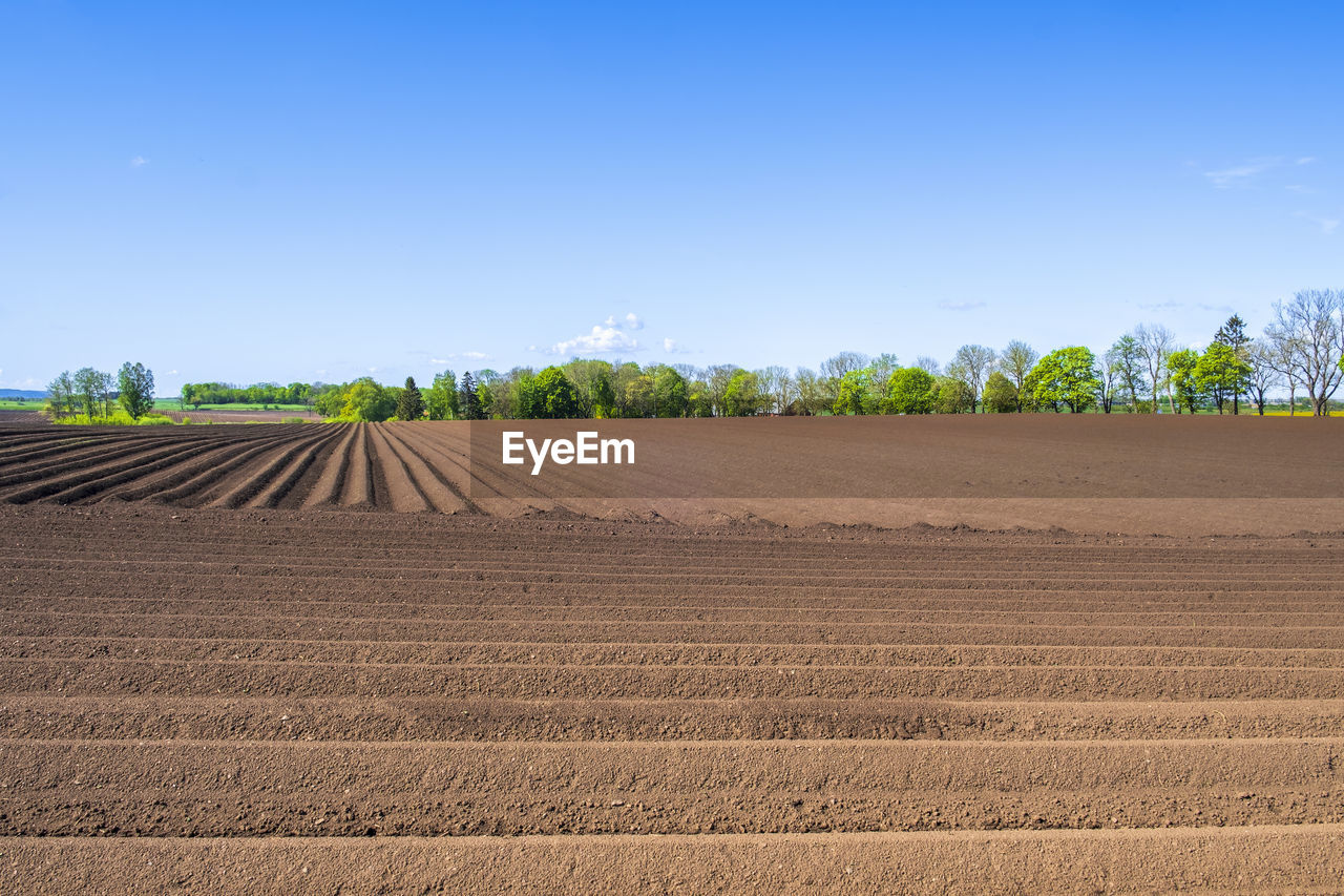 Plowed potato fields in a rural landscape view in spring