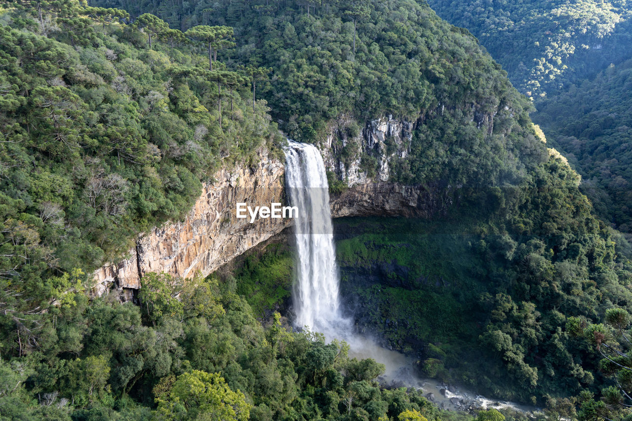 Scenic view of waterfall in forest