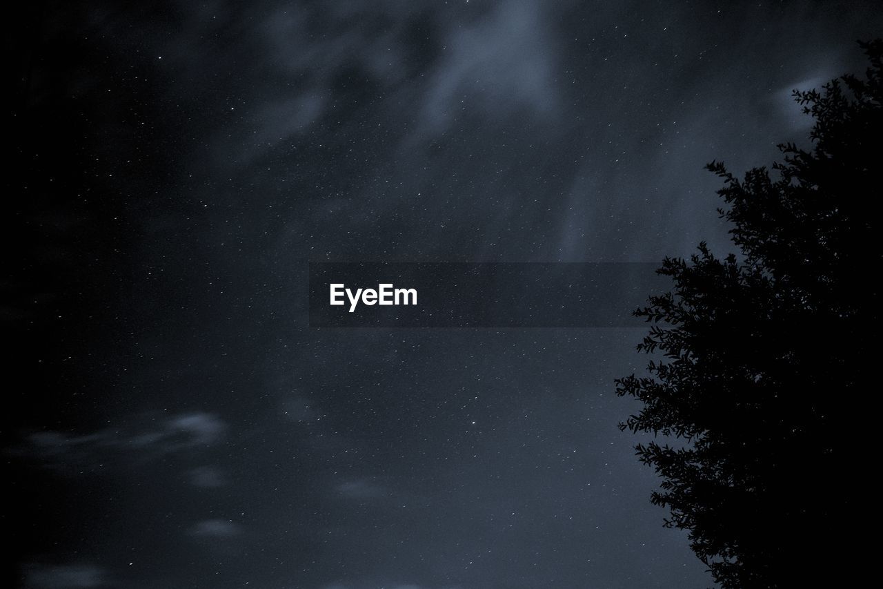 Low angle view of silhouette trees against sky at night