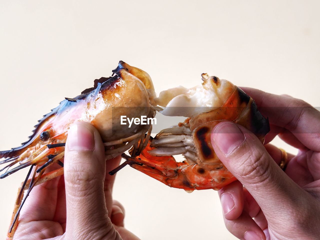 CLOSE-UP OF HAND HOLDING MEAT OVER WHITE BACKGROUND