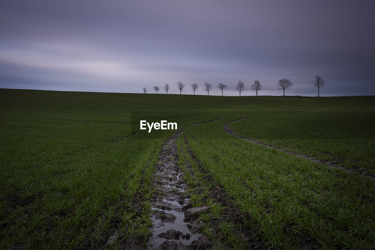 Scenic view of field against sky