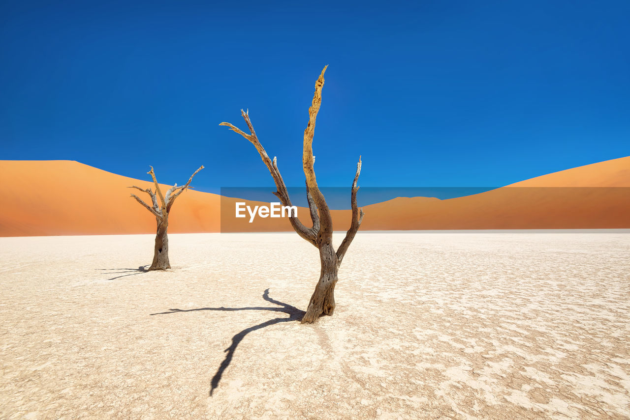 Dead vlei in naukluft national park, namibia, taken in january 2018