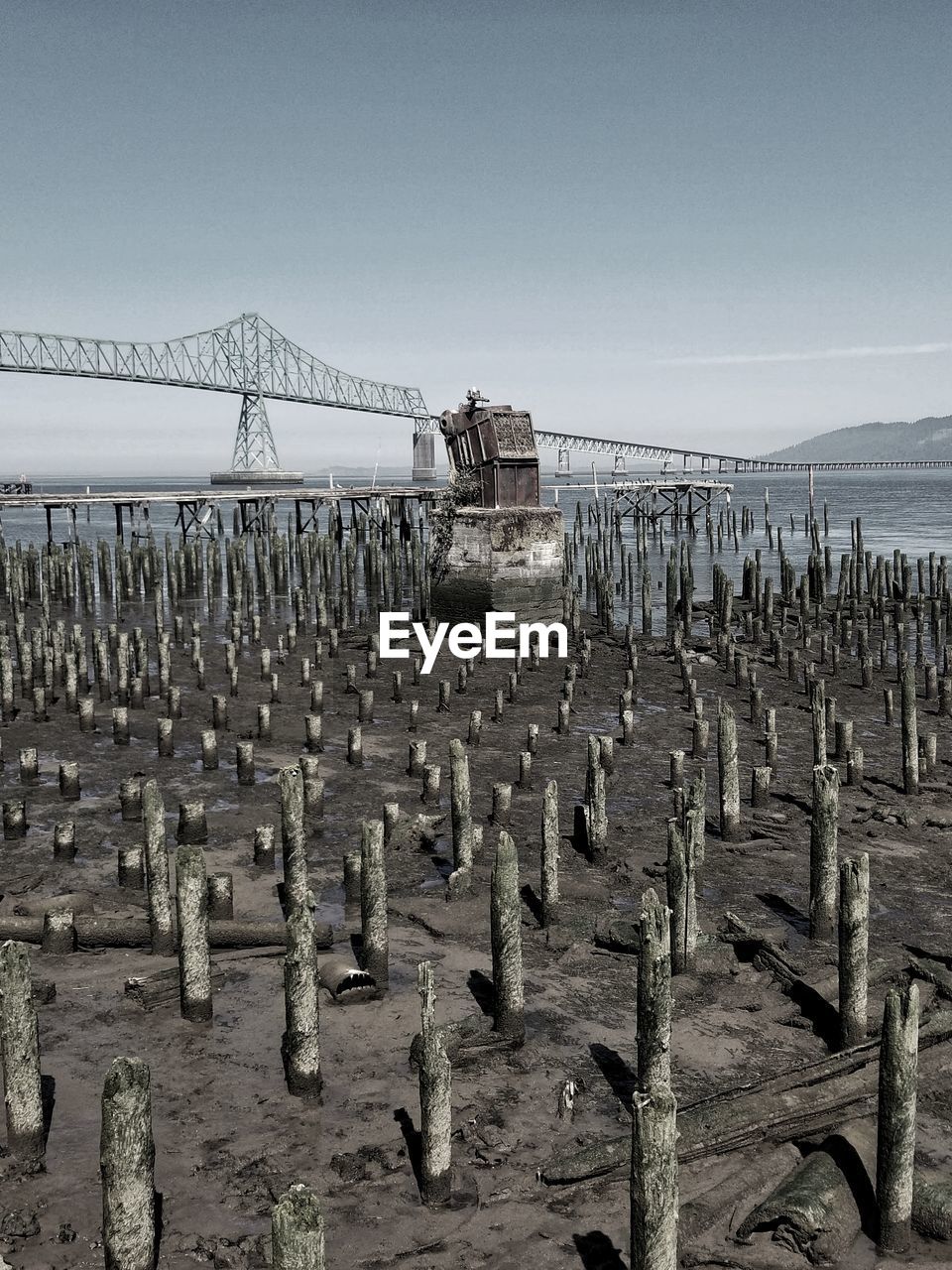 PANORAMIC VIEW OF WOODEN POSTS ON BEACH