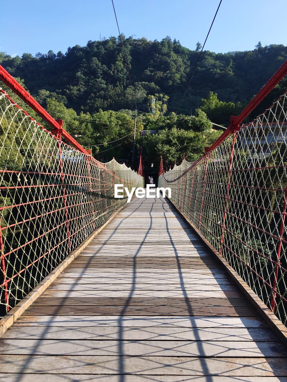 Rear view of footbridge amidst trees