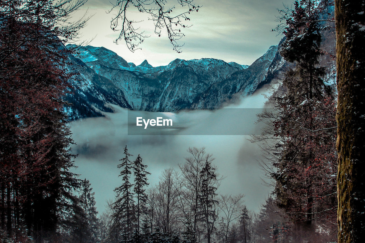 SCENIC VIEW OF WATERFALL IN FOREST AGAINST SKY