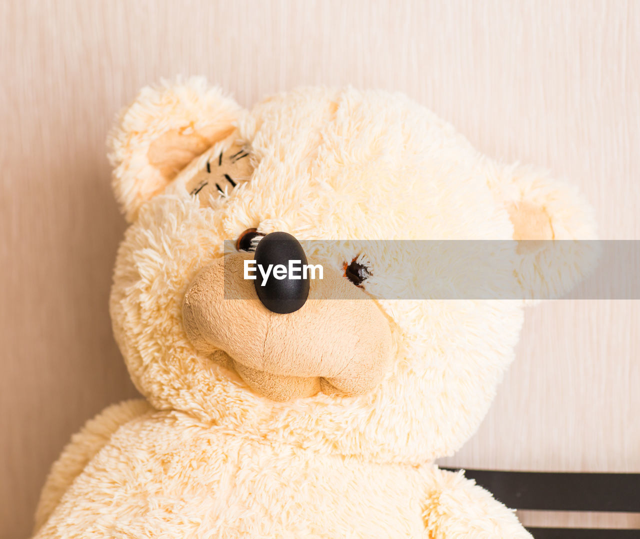 HIGH ANGLE VIEW OF STUFFED TOY ON WALL