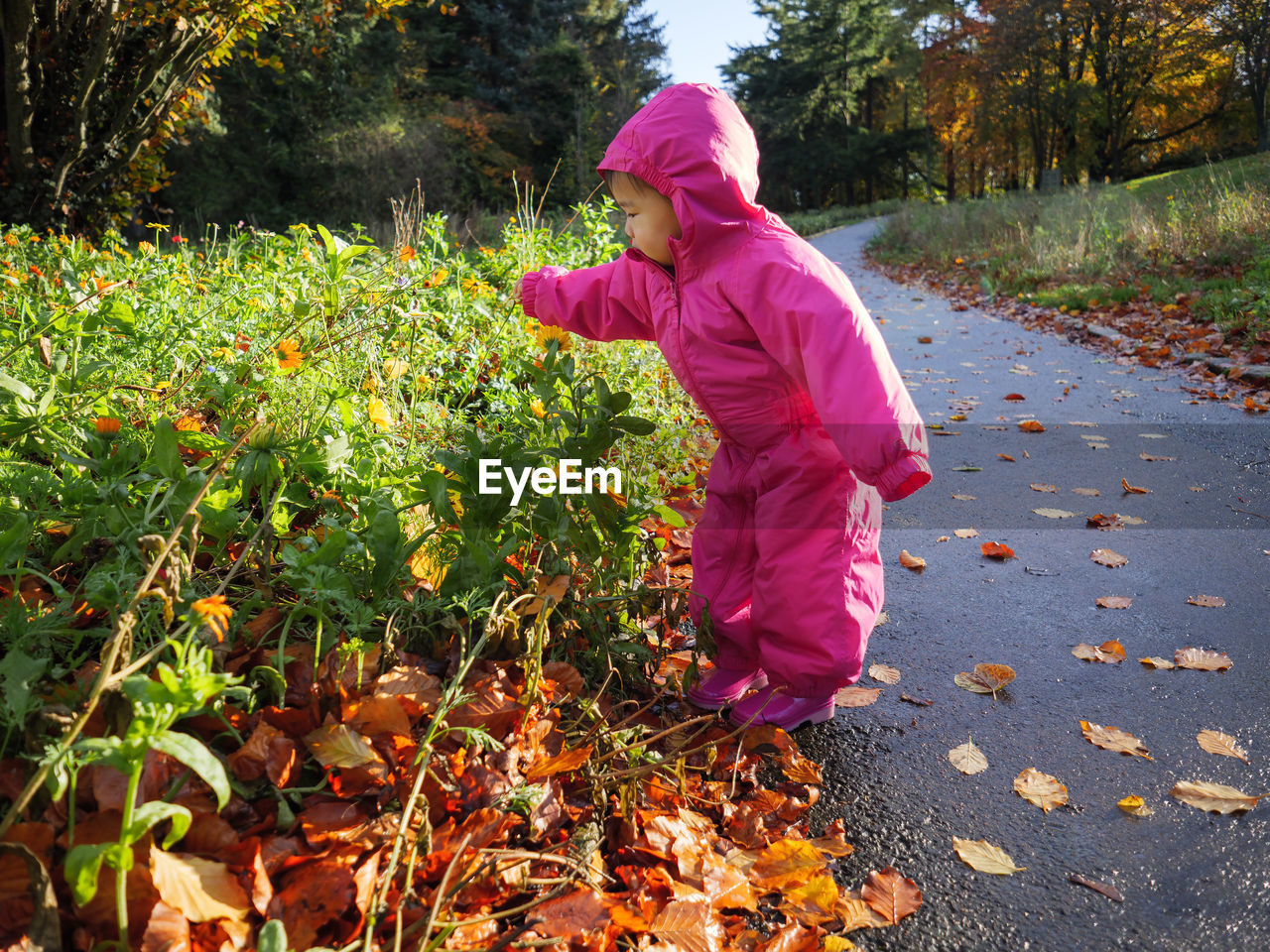 Girl standing on road by plants