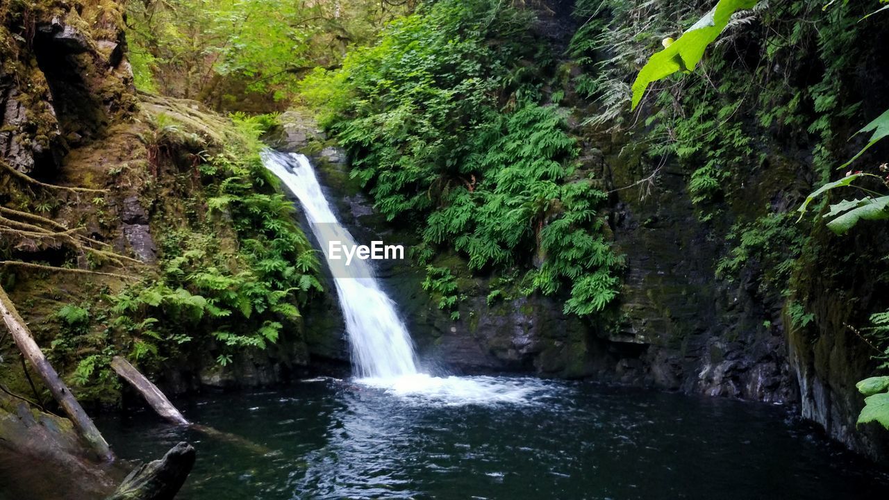 SCENIC VIEW OF WATERFALL